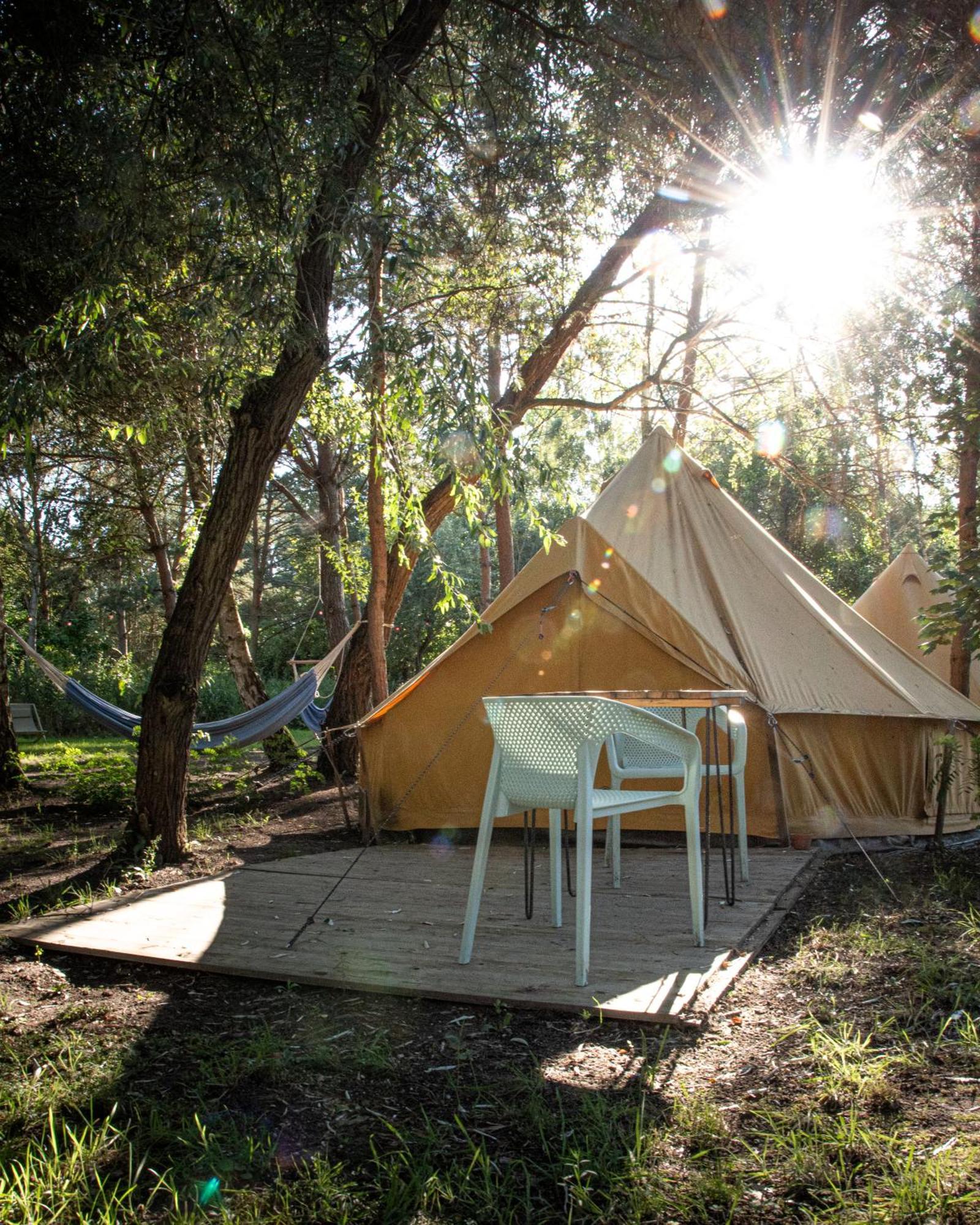 Raus Und Gut Glamping Am Graebendorfer See Drebkau Exteriör bild
