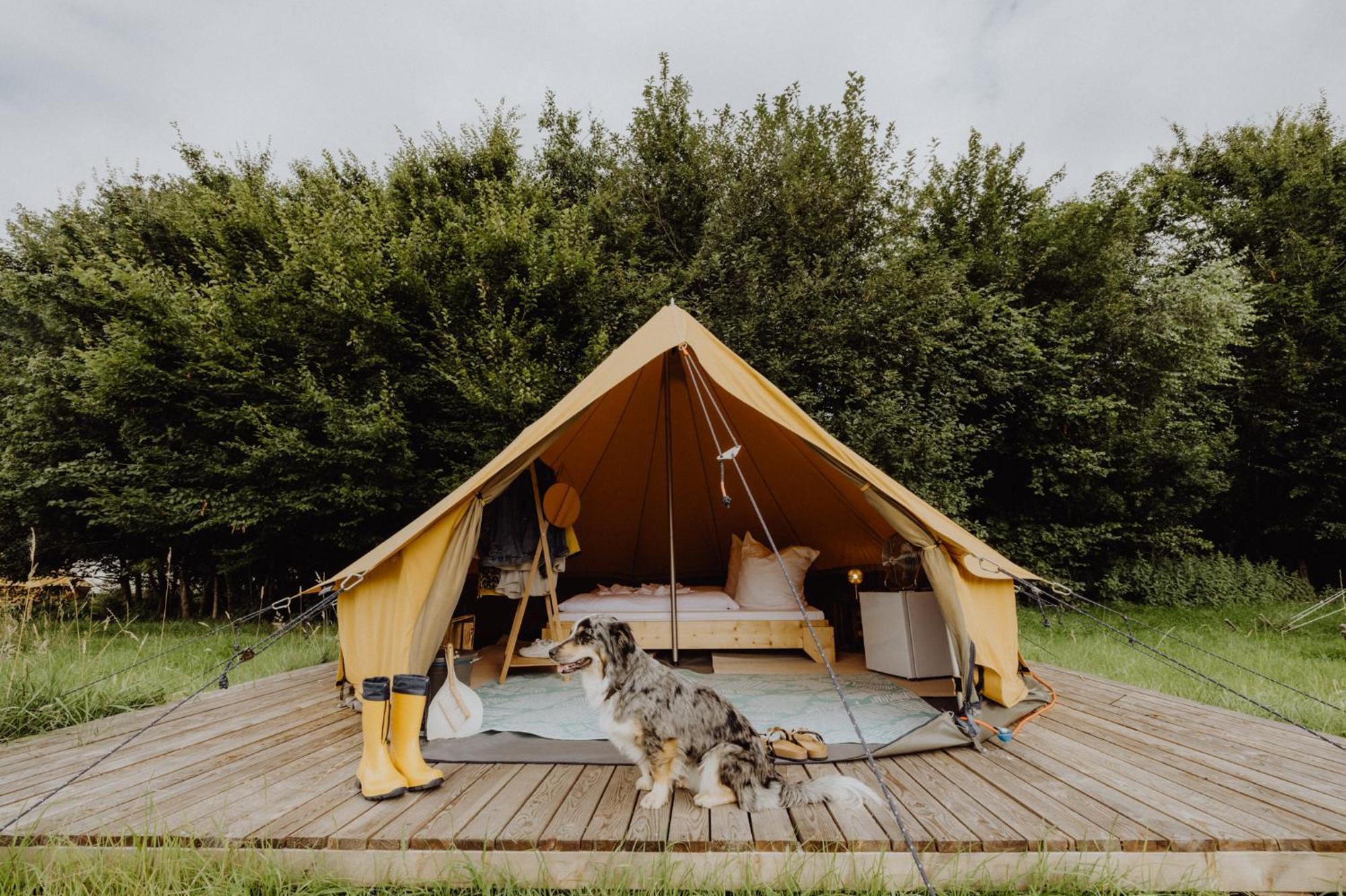 Raus Und Gut Glamping Am Graebendorfer See Drebkau Exteriör bild